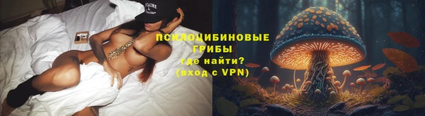 стаф Балахна