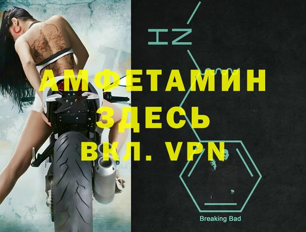 стаф Балахна