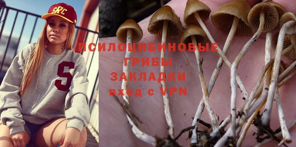стаф Балахна