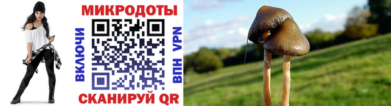 Галлюциногенные грибы ЛСД  гидра ссылки  Печора 
